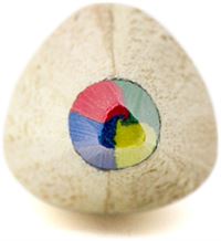 MATITA MULTICOLORE